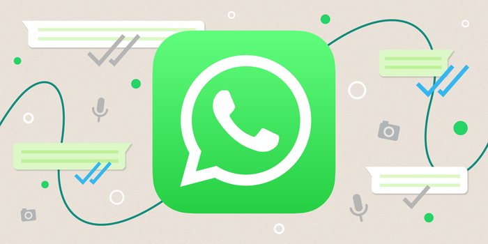 France WhatsApp filtering tool